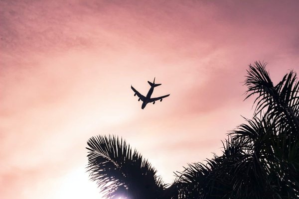 Les possibilités des avions de tourisme fiables: quelle option vous convient?