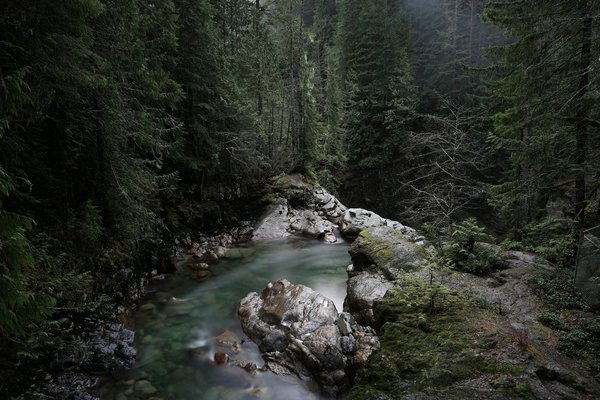 Comment choisir des vêtements adaptés pour un camping en région subarctique?