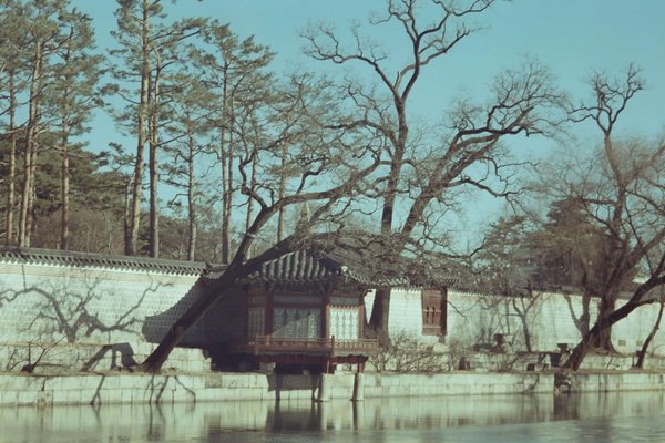 Comment organiser une visite des temples bouddhistes en Corée du Sud?